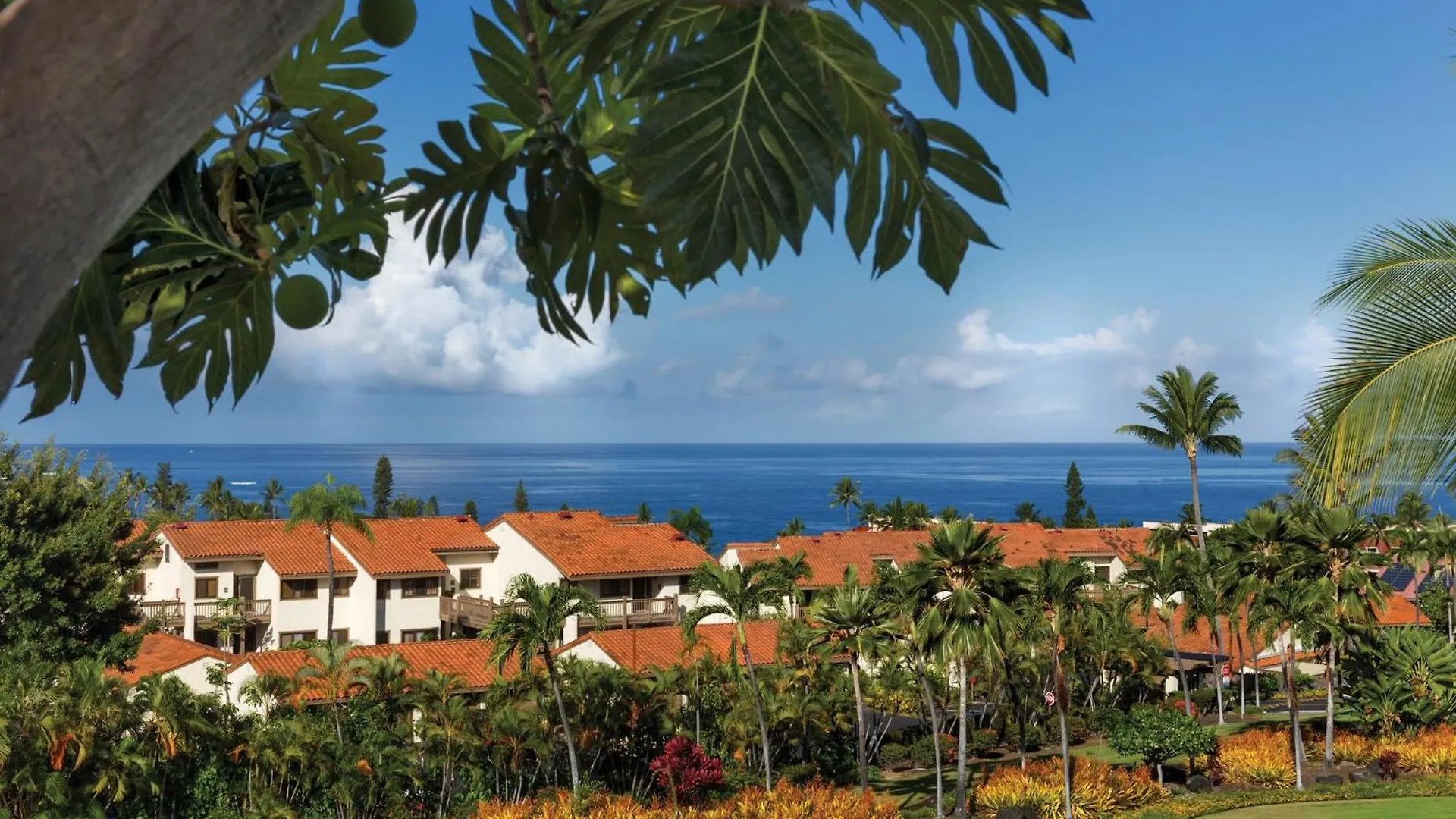 בית נופש קאילואה-קונה Wyndham Kona Coast Resort 1Br Apartment With Resort Access