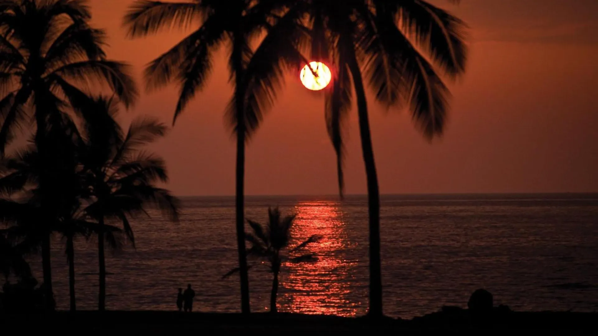 Wyndham Kona Coast Resort 1Br Apartment With Resort Access Kailua-Kona